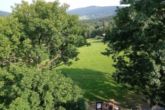 IMG_20210907_100555
