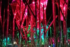 IMG_20260618_132452
