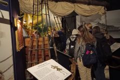 IMG_20221004_143317