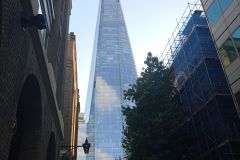 IMG_20221006_173321