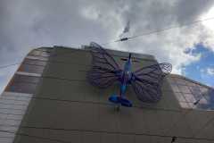 IMG-20260423-WA0009