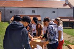 IMG_20220504_101232_1