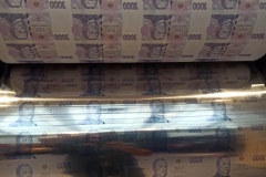 IMG_20240502_143238