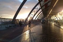 IMG_20221003_080858
