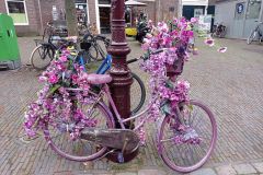 IMG_20221003_110502