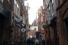 IMG_20221003_114203