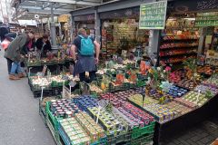 IMG_20221003_122245