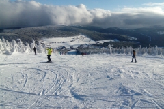 IMG_20190204_151722