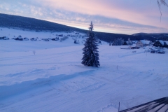 IMG_20190205_072756