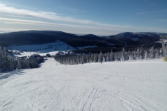 IMG_20190205_090540