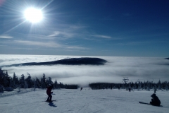 IMG_20190206_093513