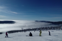 IMG_20190206_093515