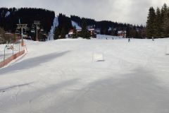 IMG_20230213_094310