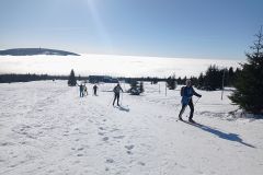 IMG_20230214_101736