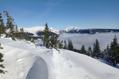 IMG_20230214_103902