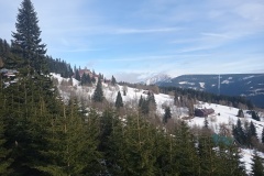 IMG_20240214_085601
