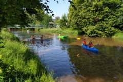 Z_IMG_20190607_093204