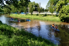 Z_IMG_20190607_094058
