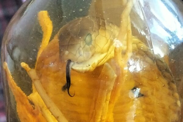 Přednáška Celní správy ČR